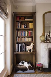 Portfolio Image